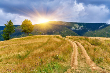 Mountain Ridge Path Grassy Landscape