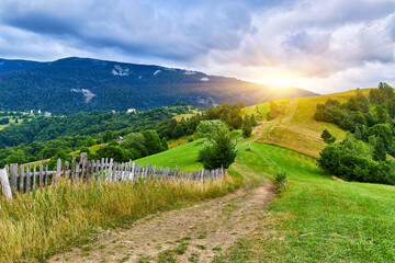 Mountain Ridge Path Grassy Landscape