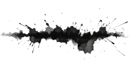black ink splashes  On white background png