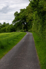 Fototapeta premium road in the park