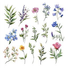 Collection of various colorful floral illustrations