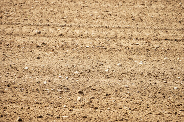 empty agricultural field