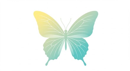  rainbow butterfly  colorful illustration isolated on white background. 