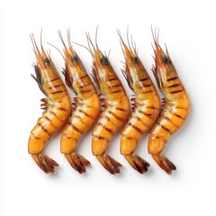 Five fresh prawns aligned on white background