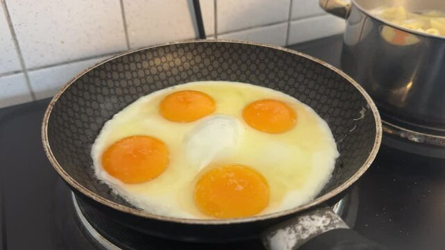 fried eggs in a frying pan 4k 