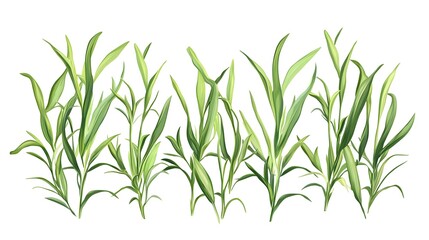 Obraz premium Intricate depiction of multiple rows of vibrant green foliage.