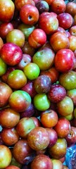 a vibrant pile of Indian jujube fruits, also known as ber or bor