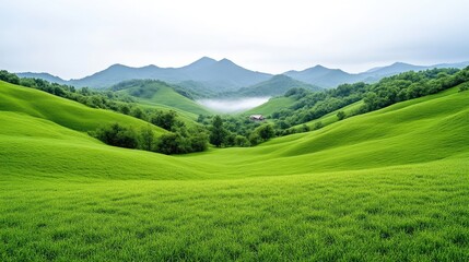 Fototapeta premium Lush green valley with rolling hills and misty mountains