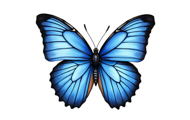 Obraz premium Bright and beautiful butterfly on isolated background.generative ai