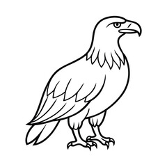 Fototapeta premium a eagle bird stands alone create a picture line art vector silhouette