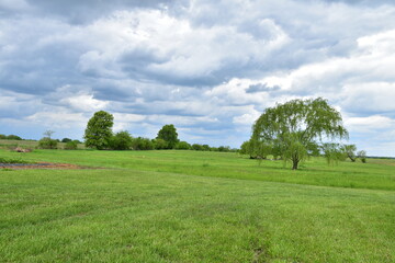 Clouds Over a Field