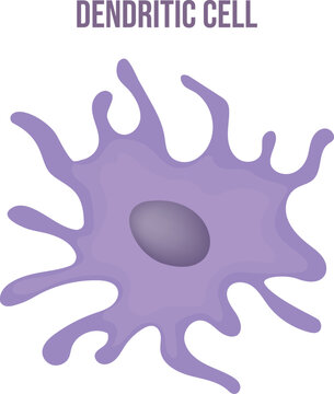 Blood cell vector illustration. Dendritic cell. Anatomy, biology, science concept vector illustration.