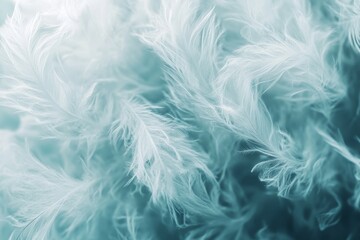 Obraz premium Delicate, ethereal feather textures in muted blues and whites.