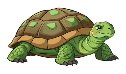 Fototapeta premium Slightly serious green tortoise character standing alert with determined expression isolated on a white background for media.