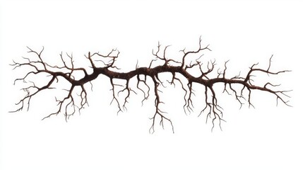 Fototapeta premium Delicate branch with intricate patterns, showcasing the natural beauty and complexity of plant life.