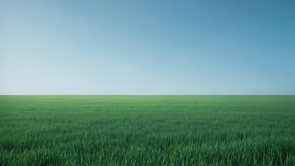 Obraz premium Bright summer landscape featuring green grass and a blue sky background with copy space