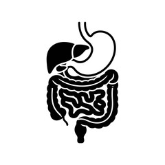 Human Digestive System Icon: A simple black and white silhouette icon depicting the human digestive system, showcasing the stomach, intestines, liver, and gallbladder.