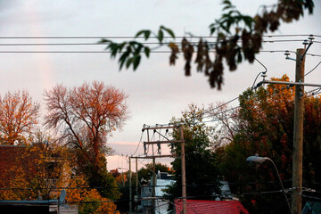 Un poteau électrique et un arbre en automne	