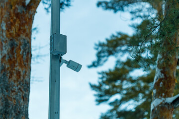 A camera is mounted on a pole in a forest