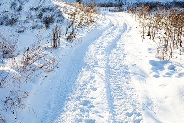 A snow covered path with a few bushes in the background