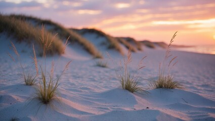 Sunset over the sandy coastline in August with ocean background