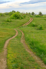 A dirt road winds through a lush green field