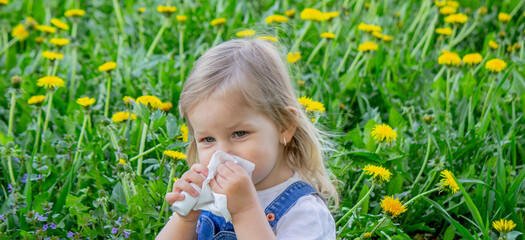 Allergy to flowers in children. Girl on a background of dandelions, allergy, sneezing.