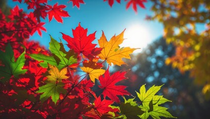 Detailed view of vibrant fall leaves in red, yellow, and green tones illuminated by sunlight under a clear sky