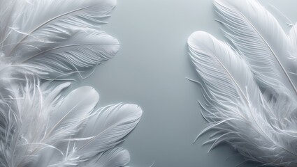 Fototapeta premium Pure white feather with intricate details and airy appearance