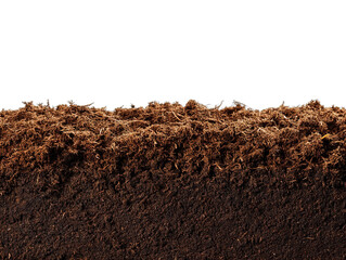 humus soil bottom border pile isolated on white or transparent png