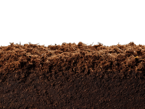 humus soil bottom border pile isolated on white or transparent png