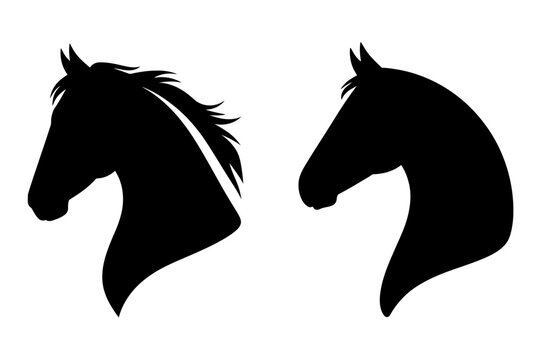 Horse head silhouette equestrian animal design art