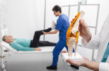 Physiotherapist holding anatomical human knee-joint model in hands, over background physiotherapy session for male patient. Physiotherapy treatments and kinesiotherapy, conceptual image