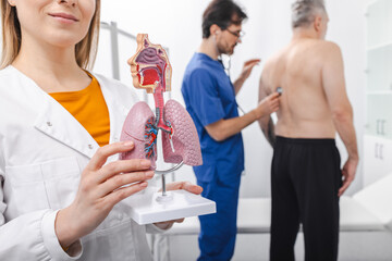 Physician showing lungs model while doctor pulmonologist auscultation a patient's back with stethoscope for respiratory issues in medical clinic