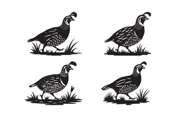 Obraz premium Quail Silhouette Vector Collection Elegant Game Bird Clipart Set
