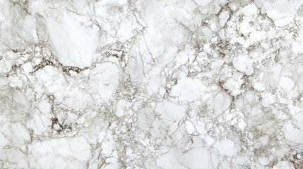 Fototapeta premium Elegant White Marble Texture. A high-resolution image of a pristine white marble with subtle veins, perfect for showcasing its luxurious texture and pattern.
