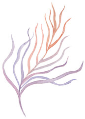A delicate watercolor illustration of a seaweed branch in soft beige and lavender tones. Perfect for coastal, botanical, or nature-themed designs, ideal for invitations, home décor, or stationery.