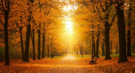 Fototapeta premium Autumn park pathway