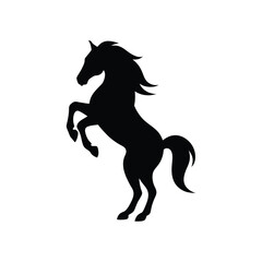 black horse vector illustration