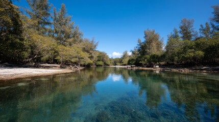 Fototapeta premium Soft morning light illuminates a tranquil mangrove forest, creating a calm atmosphere over the still waterway with dappled reflections and lush greenery