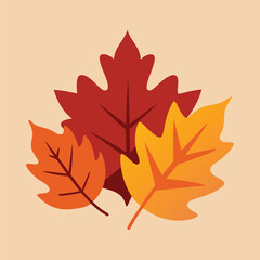 Isolated on white, a vibrant autumn maple leaf, a vector illustration of fall foliage