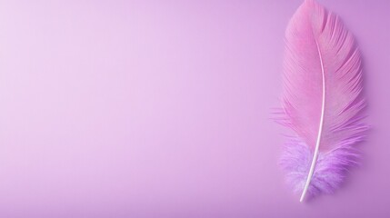 Soft pink feather on pale purple background minimalist design element