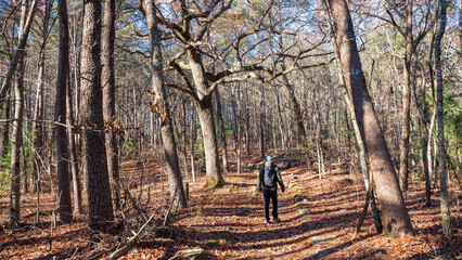 A man is hiking at Fort Mountain Trails, Chatsworth, GA, US. The person seems soaking in the autumn vibe of red, yellow and brown leaves. It is chilly, and or sometimes rainy during the fall. 