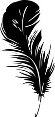 Obraz premium Black feather silhouettes in various shapes and styles, including curved, pointed, rounded, and detailed designs