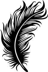 Black feather silhouettes in various shapes and styles, including curved, pointed, rounded, and detailed designs © drik