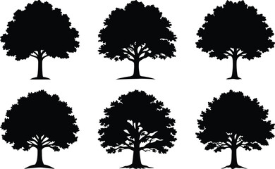 Tree silhouettes set of vector bundle isolated on white background