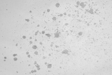  Paper texture with wet spots. Sheet of paper with surface texture