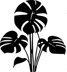 vector illustration of a monstera © Adam