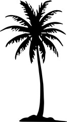 Obraz premium silhouette of coconut tree