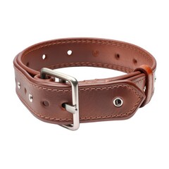 Brown leather dog collar isolated on white background